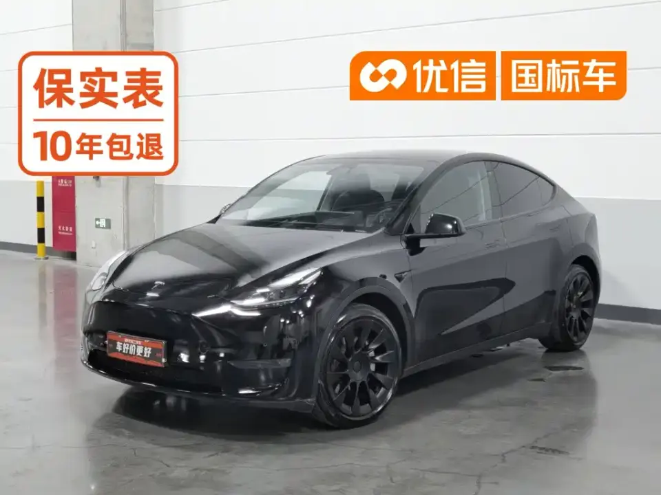 Tesla Model Y Model Long Range AWD 2021