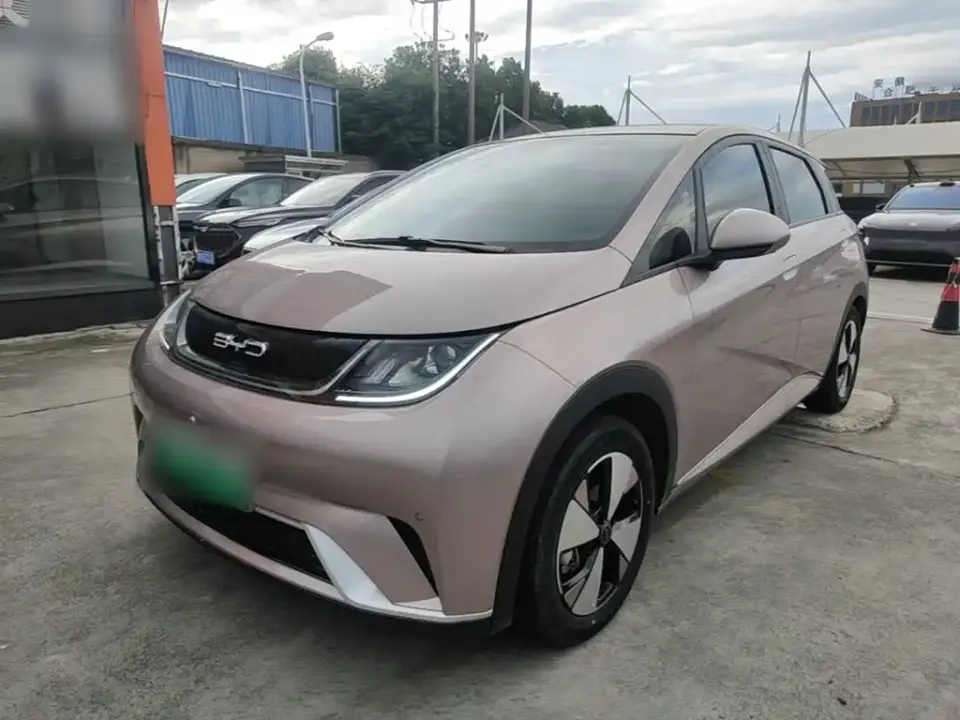 BYD Dolphin 420km Fashion Edition 2024