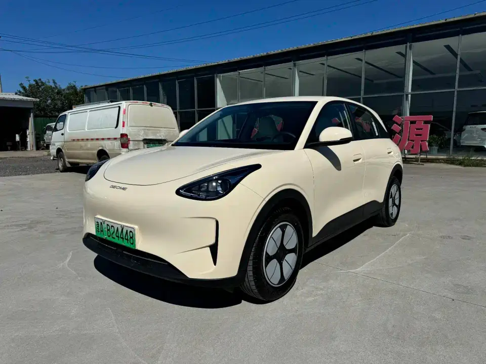 Geely Galaxy Starry Wish 310km Youth Edition 2025