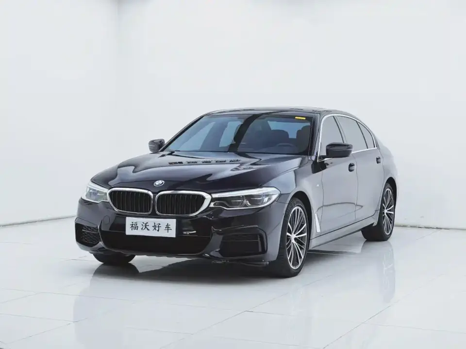 BMW 5 Series 530Li Leading M Sport Package 2019