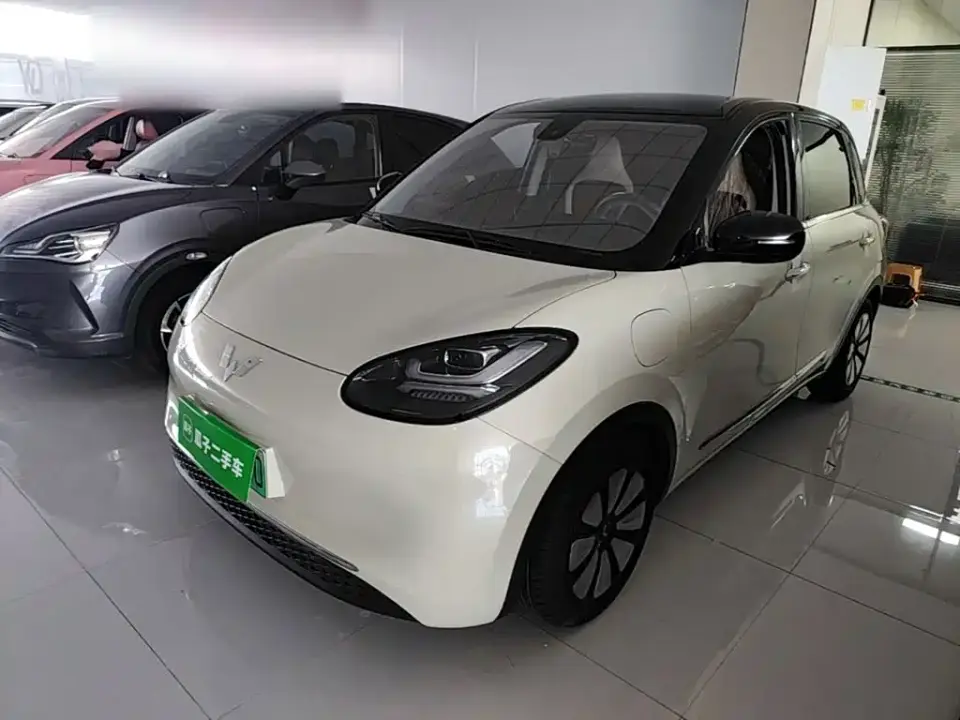 Wuling Motors Wuling Bingo Model 333km Joy+ Version 2024