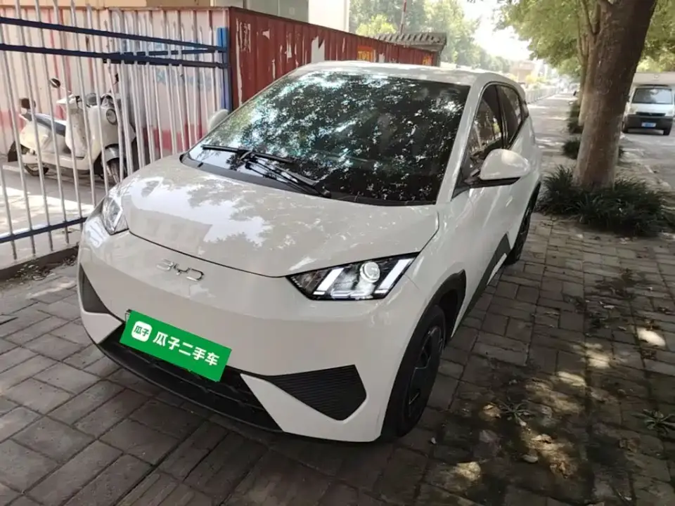 BYD Seagull Smart Drive Edition 305km Vitality Version 2025