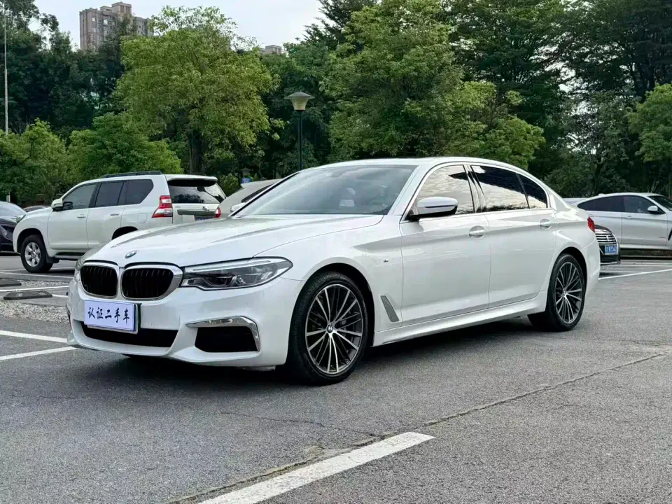 BMW 5 Series 530Li Leading M Sport Package 2020