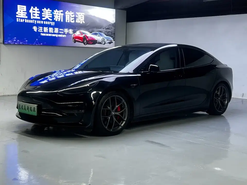 Tesla Model 3 Facelift Performance High-Performance AWD 3D1 2021