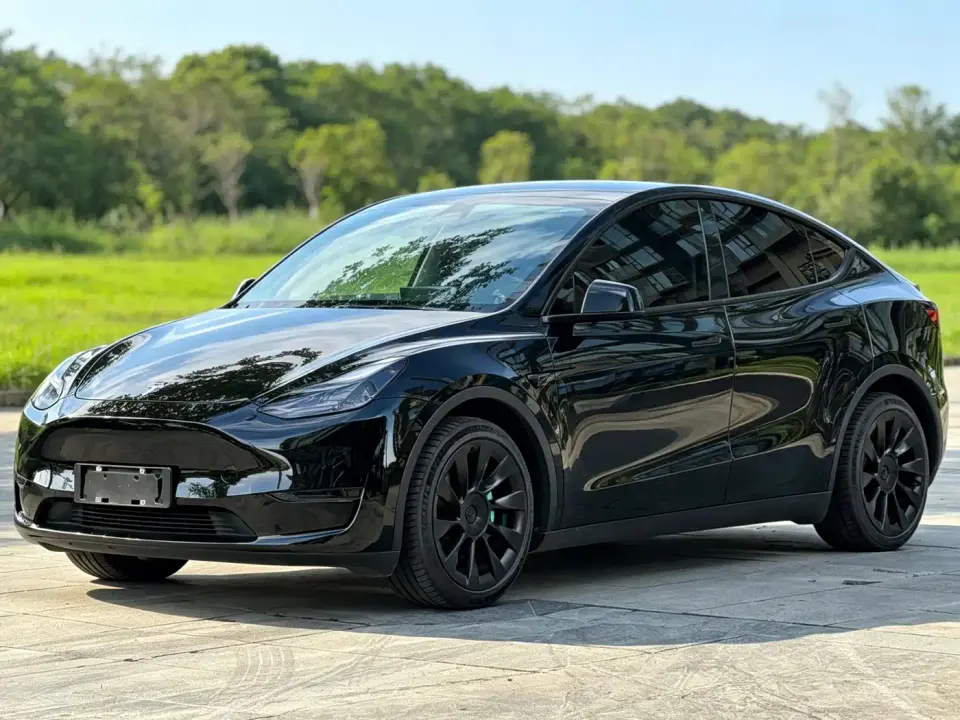 Tesla Model Y Model Long Range AWD 2021