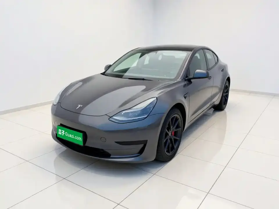 Tesla Model 3 Model Rear-Wheel Drive Version 2022