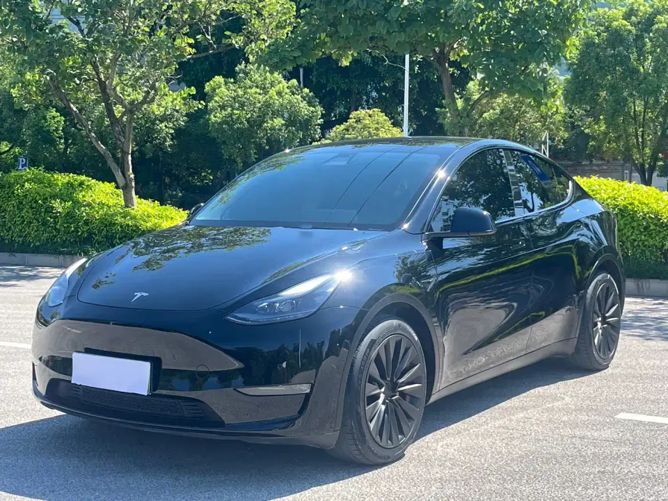 Tesla Model Y Standard Range Rear-Wheel Drive 2021