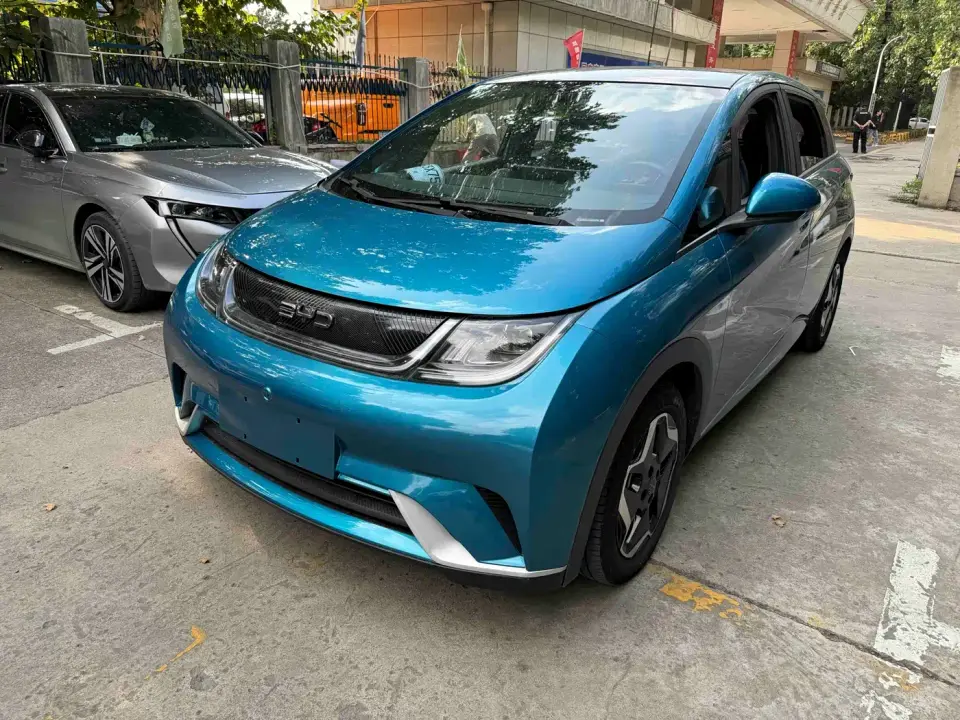 BYD Dolphin Model 405km Fashion Edition 2022