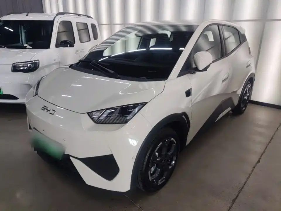BYD Seagull Smart Drive Edition 305km Freedom Version 2025