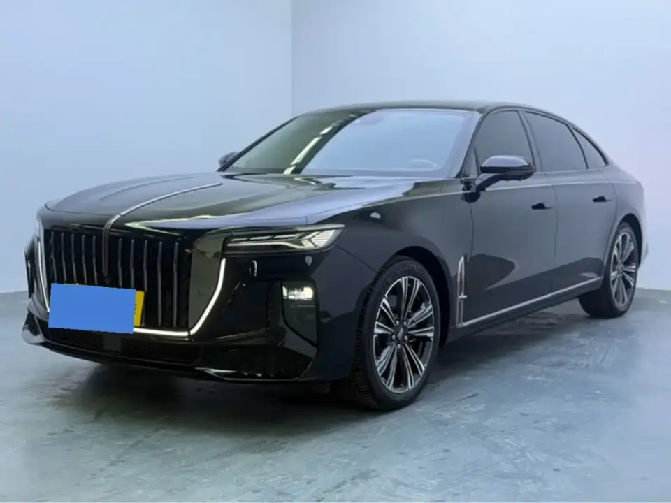Hongqi H9 2.0T Qi Enjoy Private Fashion Edition 2024