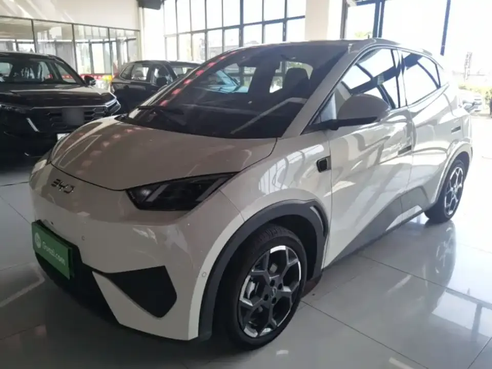 BYD Seagull Smart Drive Edition 305km Freedom Version 2025