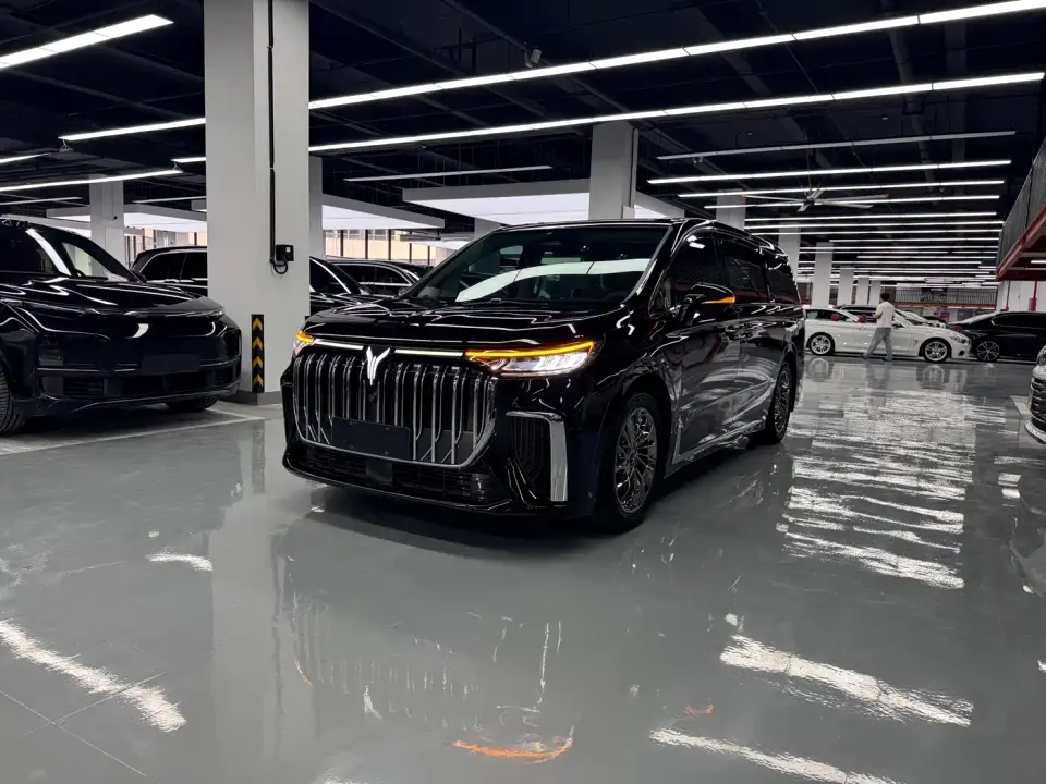 Voyah Auto Voyah Dreamer Low Carbon Edition Home 2022