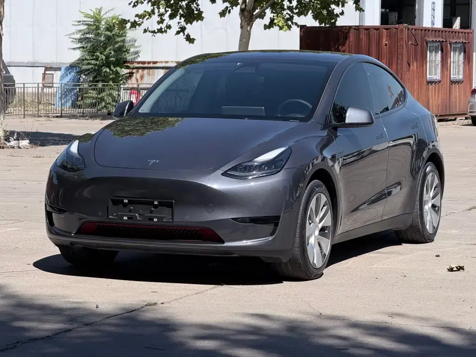 Tesla Model Y Rear-Wheel Drive Version 2022