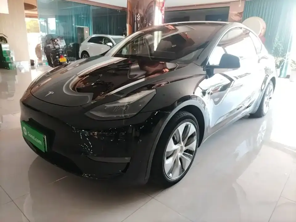 Tesla Model Y Standard Range Rear-Wheel Drive 2021