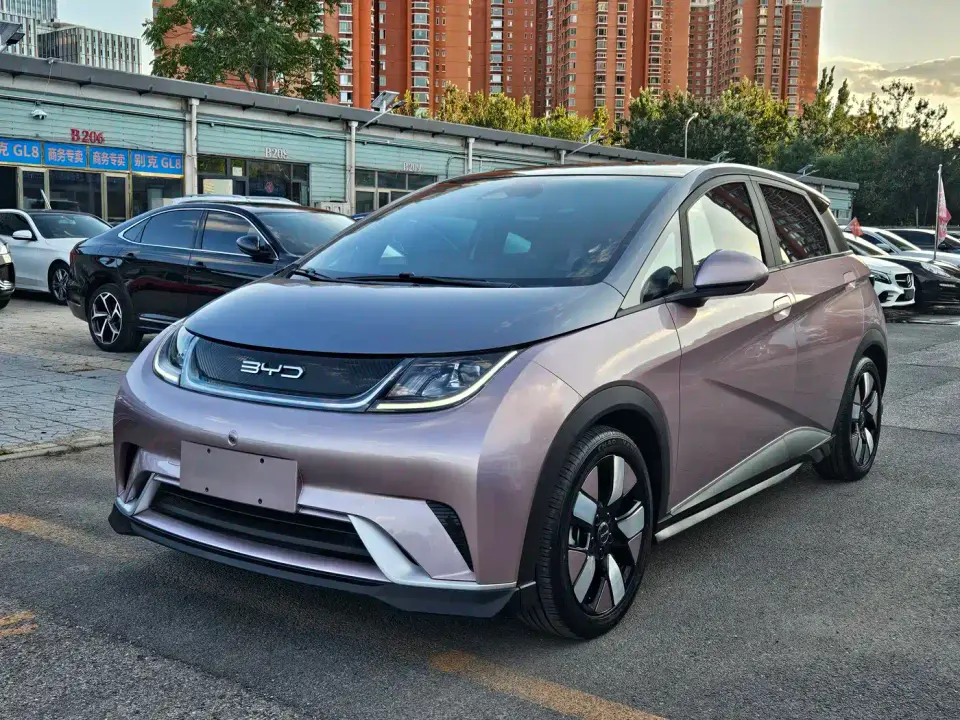 BYD Dolphin 401km Knight Edition 2022