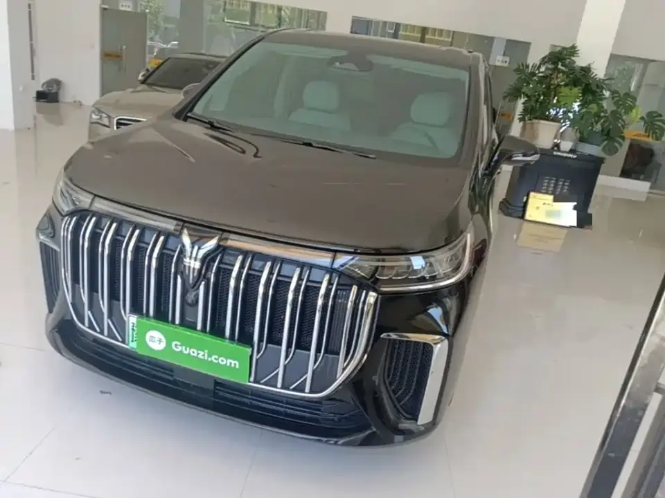 Voyah Auto Voyah Dreamer Low-carbon Dream+Smart Package 2022