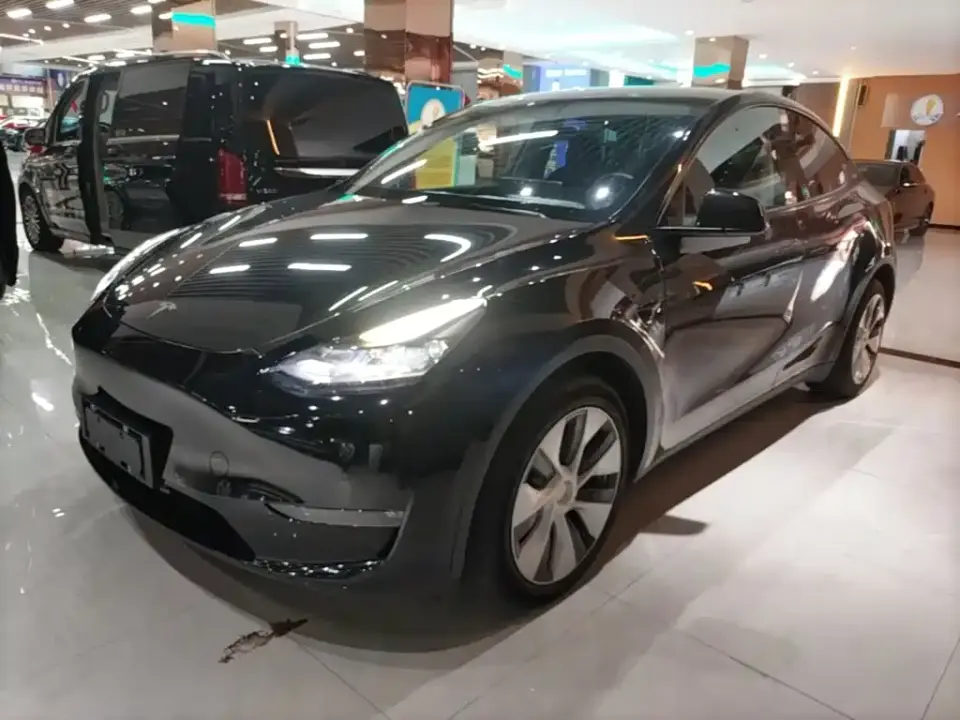 Tesla Model Y Long Range All-Wheel Drive 3D7 2021