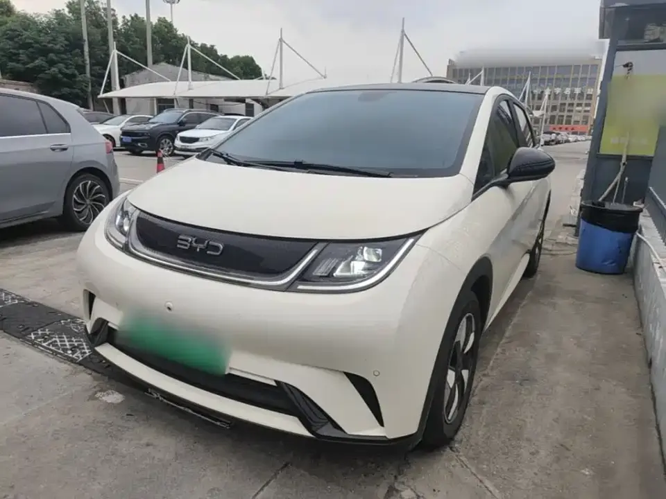 BYD Dolphin 420km Fashion Edition 2024