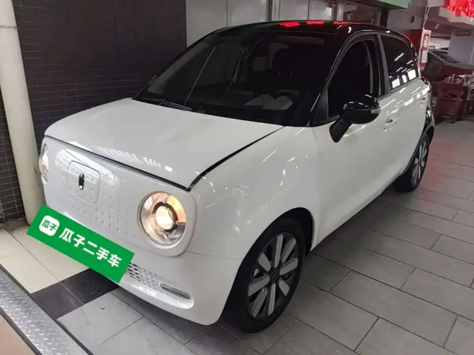 ORA Black Cat 351km Standard Model 2021