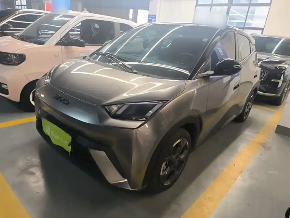 BYD Seagull Glory Edition 305km Freedom Edition 2024