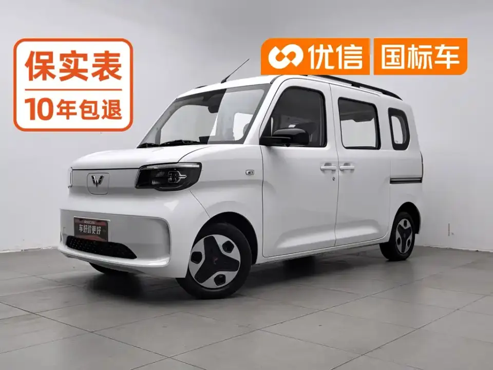 Wuling Motors Wuling Zhiguang NEV Model Comfort 2025