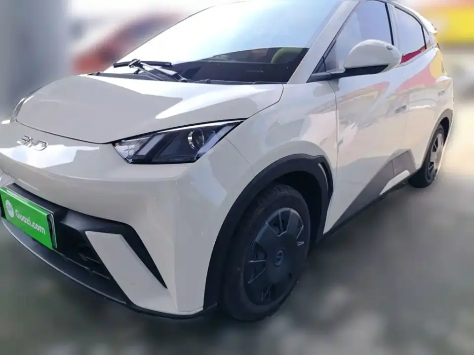BYD Seagull 305km Vitality 2024