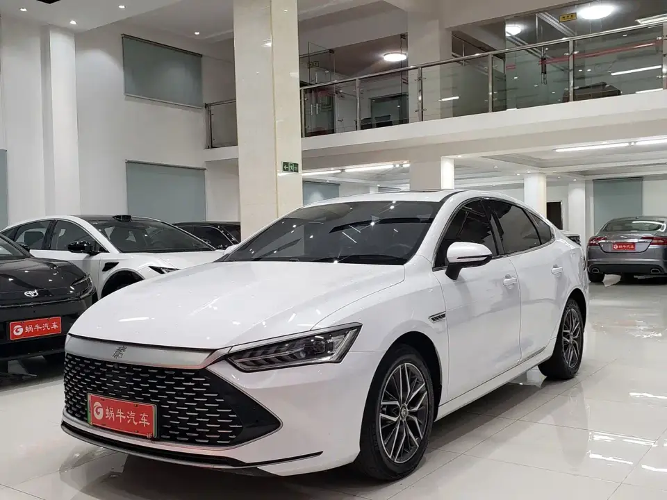 BYD Qin PLUS Champion Edition DM-i 55KM Surpassing 2023