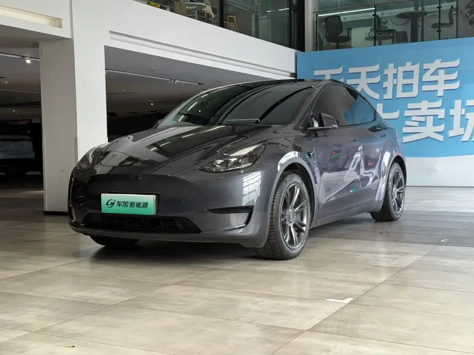 Tesla Model Y Rear-Wheel Drive Version 2022