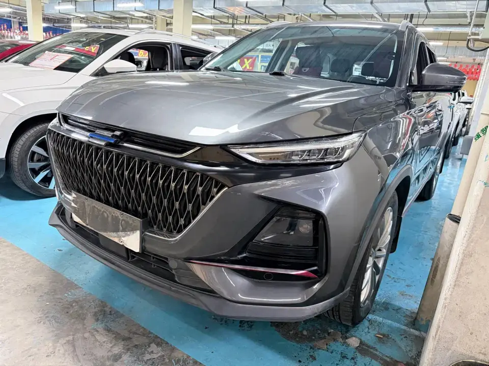 Changan Oshan X7 PLUS 1.5T Blue Whale Edition Auto Executive 2022