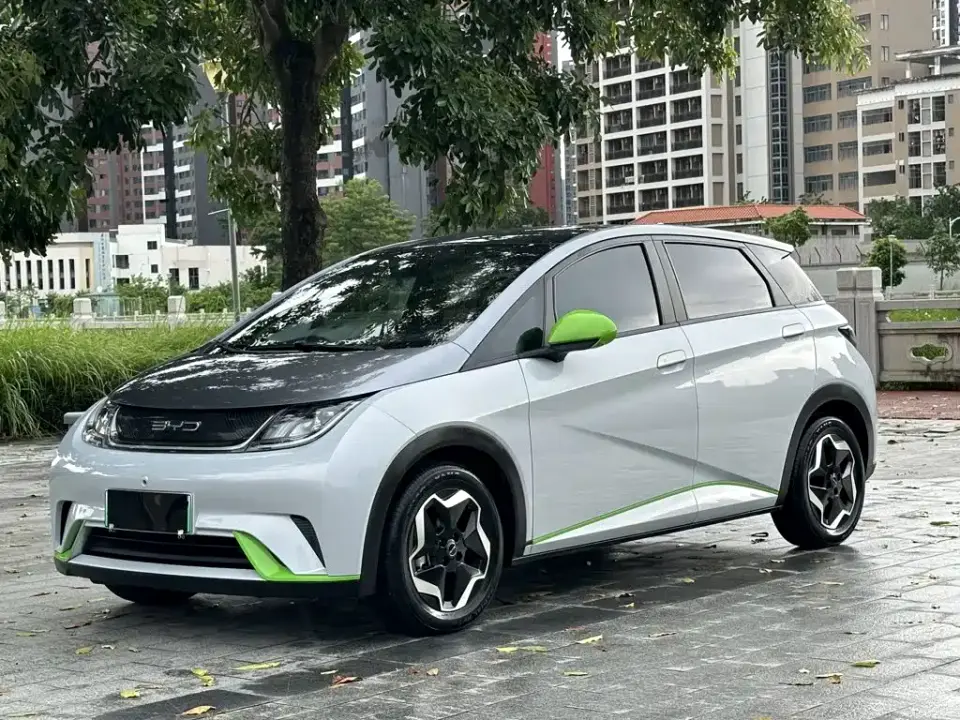 BYD Dolphin Model 405km Fashion Edition 2021