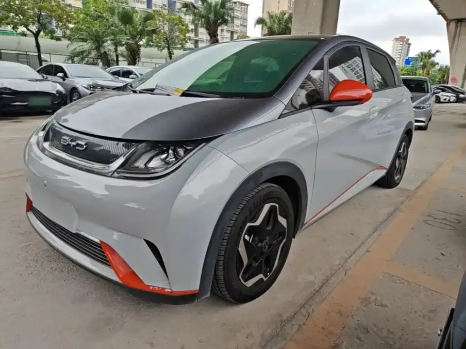 BYD Dolphin Model 405km Fashion Edition 2022