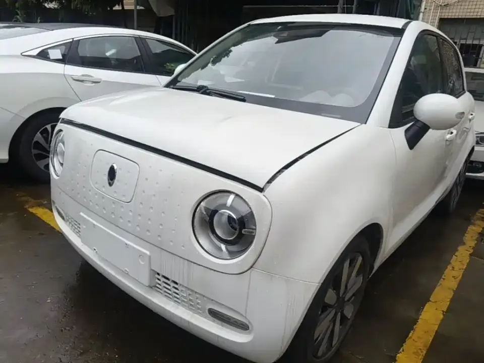 ORA Black Cat Model 351km Smart Intelligence Edition 2019