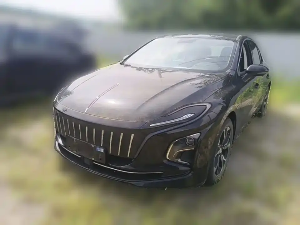 Hongqi E-QM5 Basic Travel Edition 2024