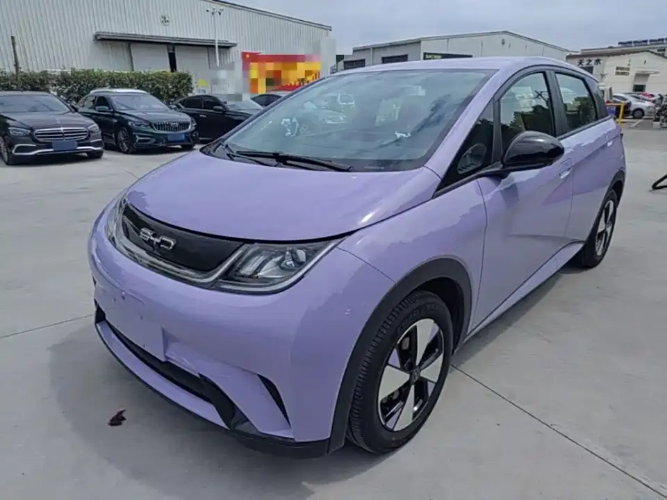 BYD Dolphin 420km Freedom Edition 2024