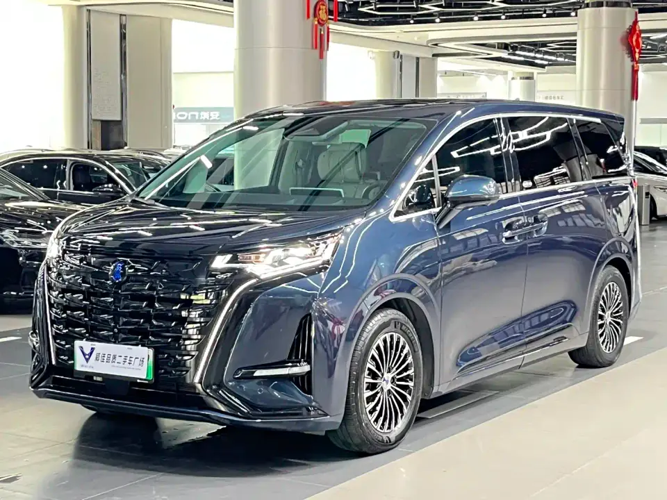Denza D9 DM-i 980 AWD Flagship 2024