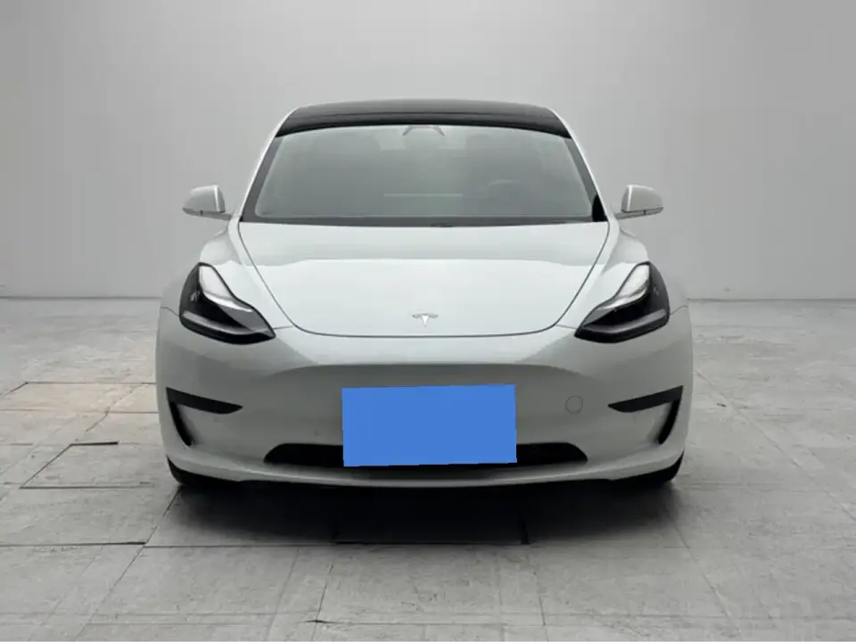 Tesla Model 3 Standard Range Rear-Wheel Drive Upgrade 2020