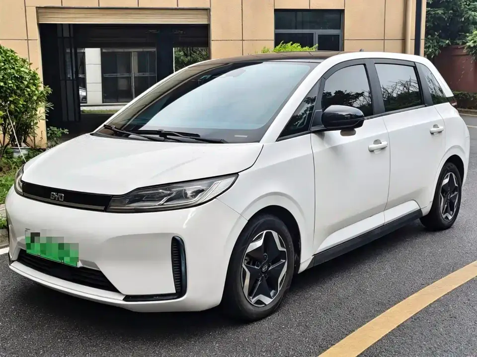 BYD D1 Pioneer Edition 2020