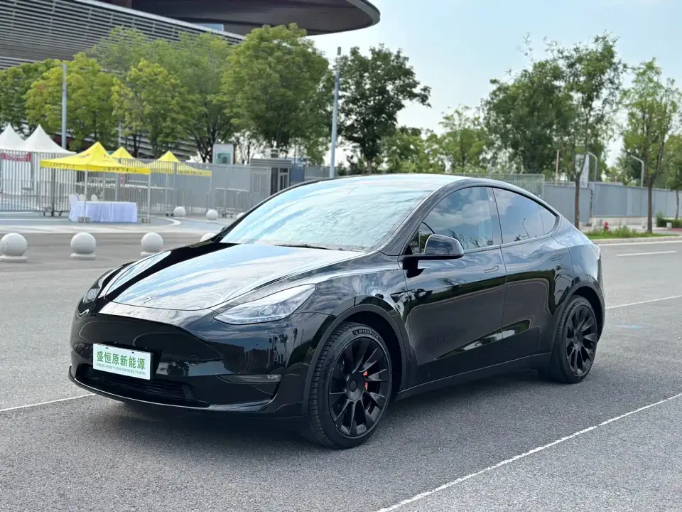 Tesla Model Y Standard Range Rear-Wheel Drive 2021