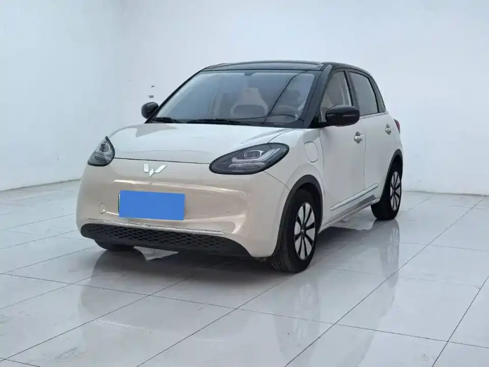 Wuling Motors Wuling Bingo 333km Smart Connect Edition 2025