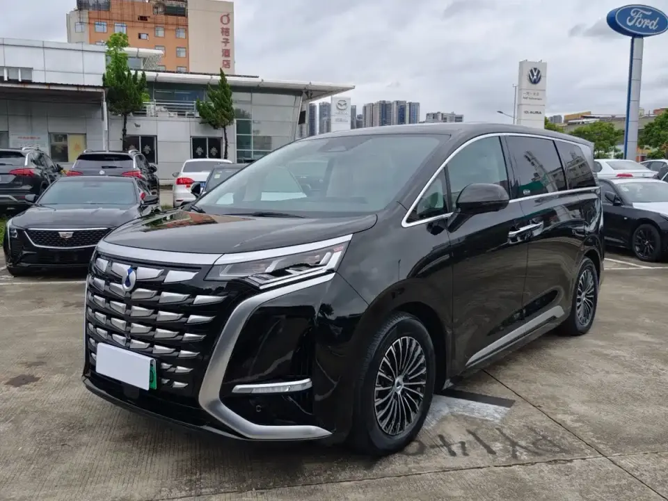 Denza D9 DM-i 1050 Premium 2024
