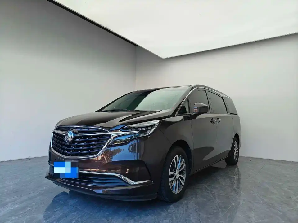 Buick GL8 ES Landlord 653T Premium 2021