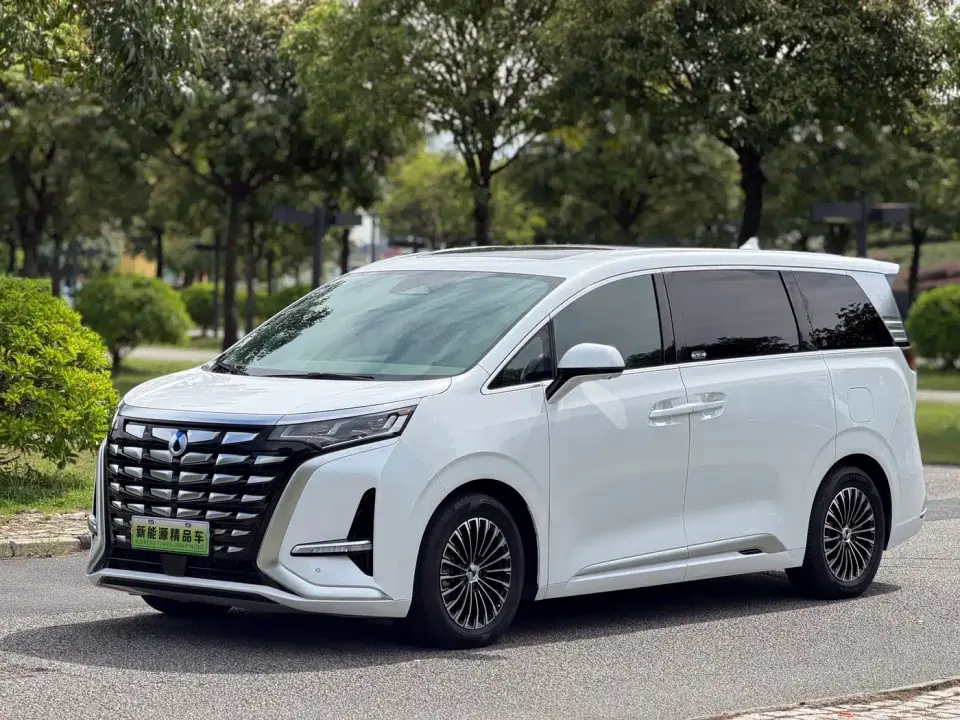 Denza D9 DM-i 1040 Premium 2023