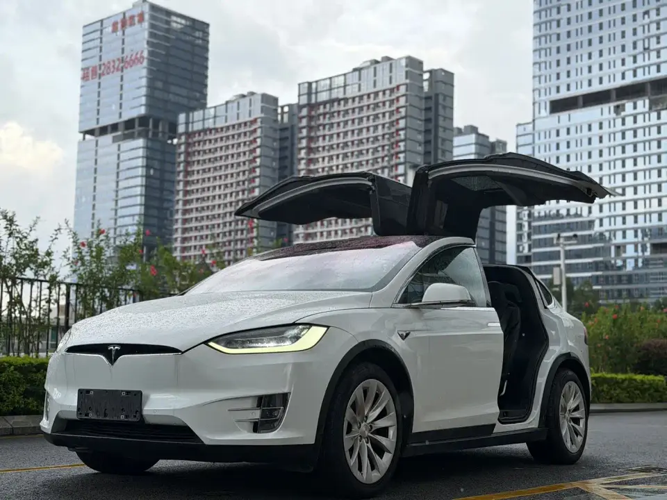 Tesla Model X Long Range Version 2019