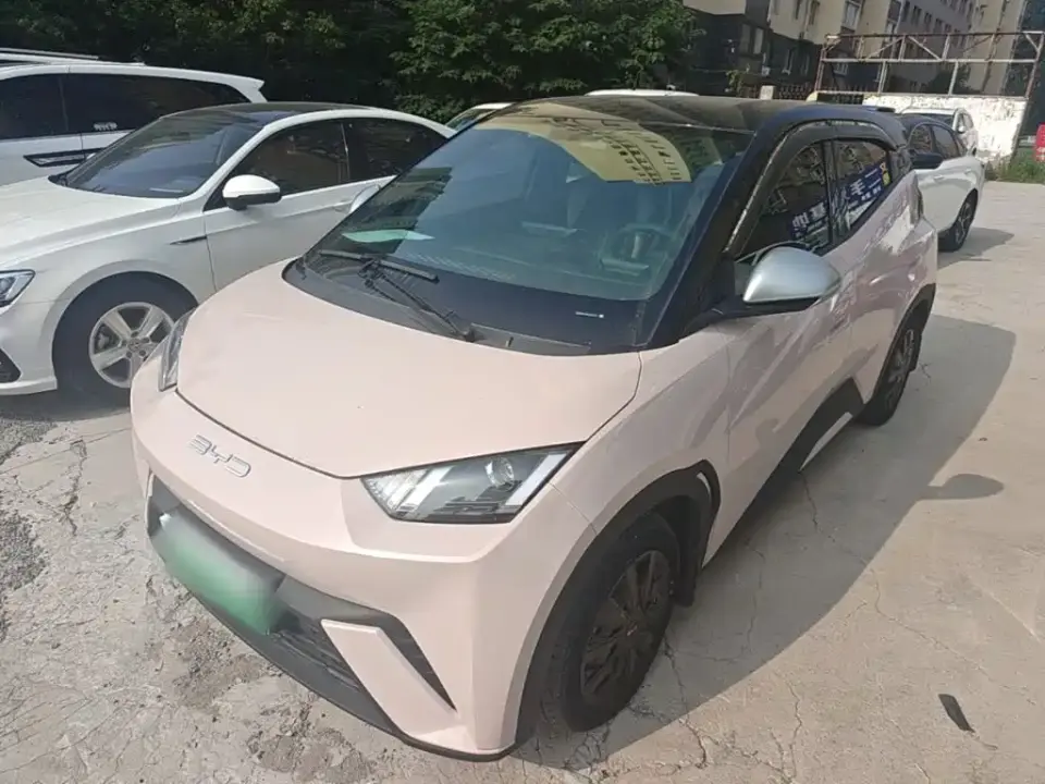 BYD Seagull Glory Edition 305km Vitality Edition 2024