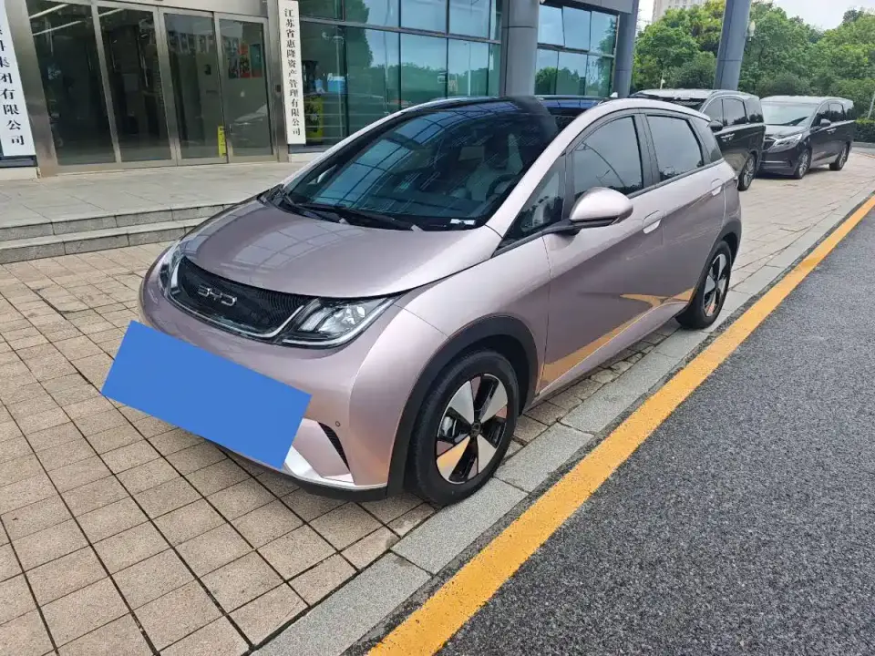 BYD Dolphin 420km Fashion Edition 2023