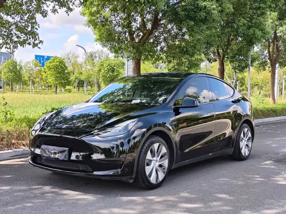 Tesla Model Y Rear-Wheel Drive Version 2022