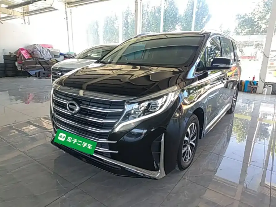 GAC Trumpchi M8 Leading Series 390T Premium Edition 2023