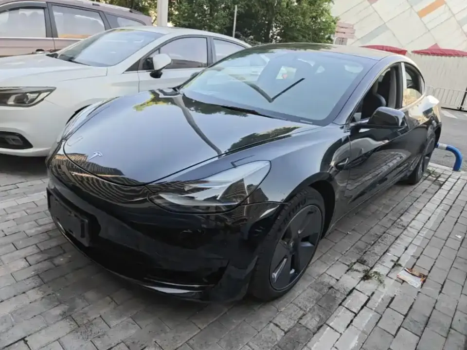Tesla Model 3 Model Rear-Wheel Drive Version 2022