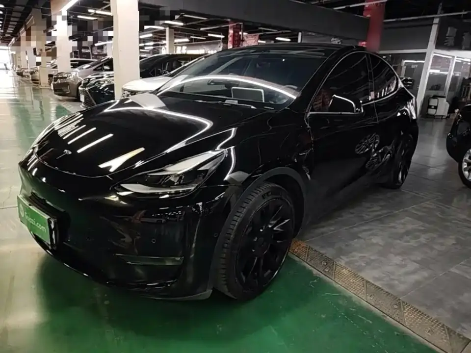 Tesla Model Y Standard Range Rear-Wheel Drive 2021