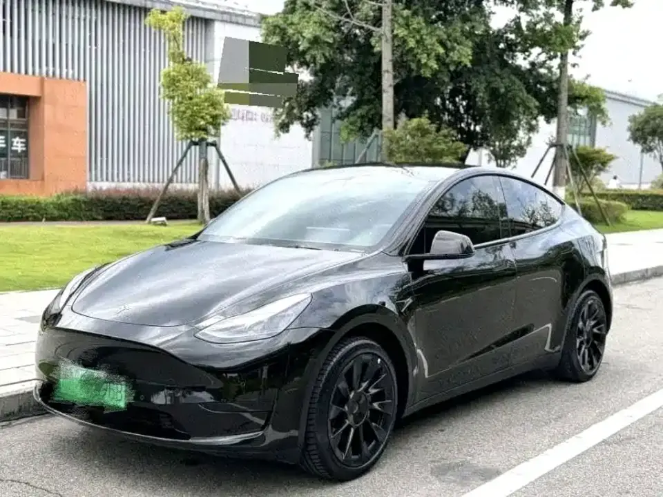 Tesla Model Y Rear-Wheel Drive Version 2022